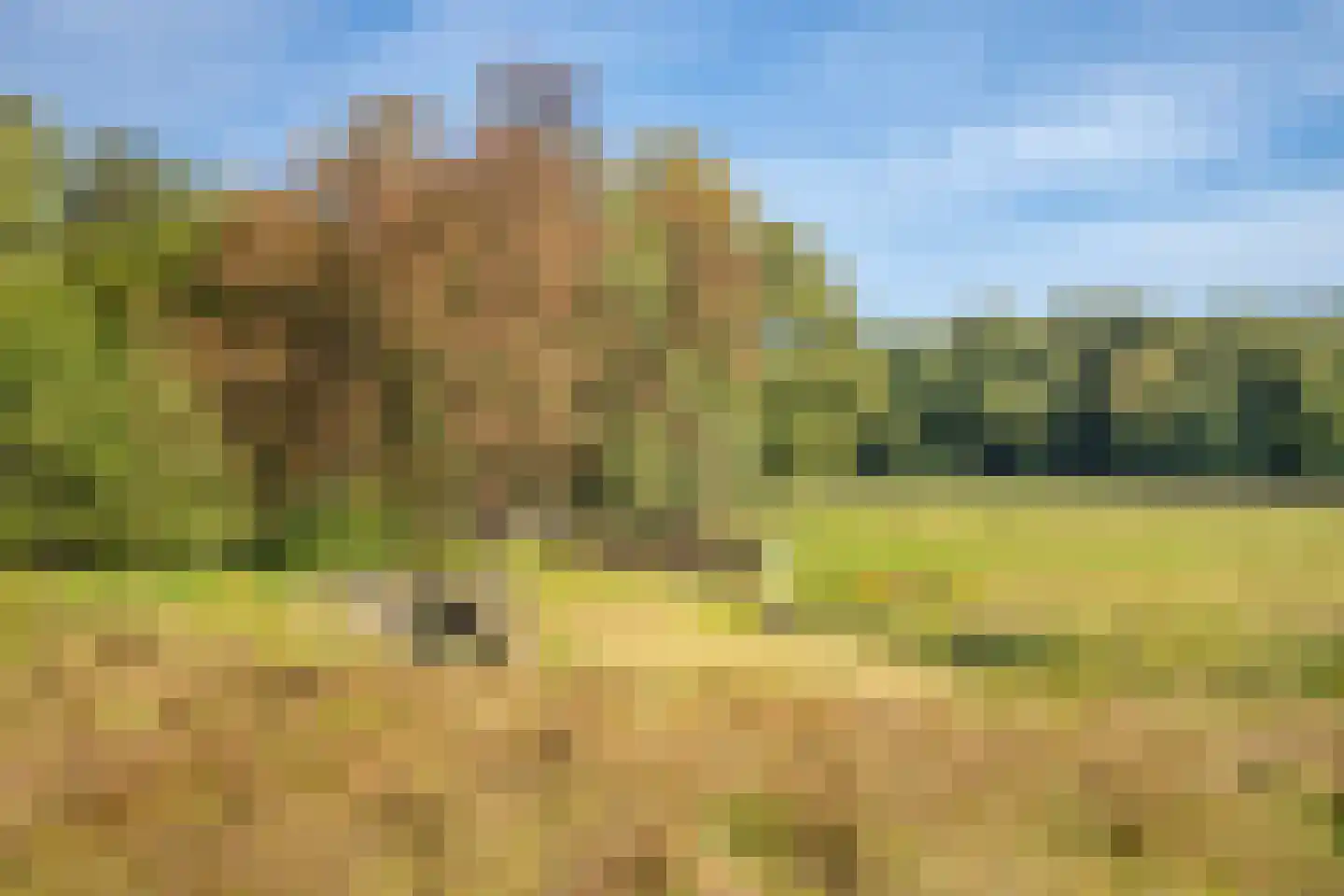 Veerweg 2 Oosterbeek thumbnail 67