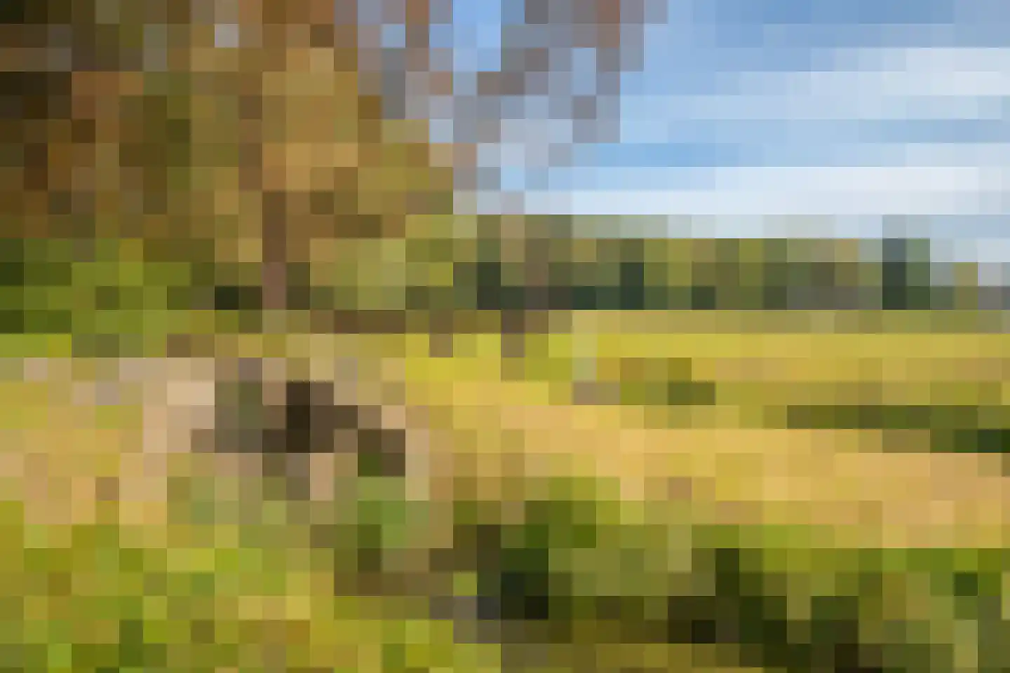 Veerweg 2 Oosterbeek thumbnail 68