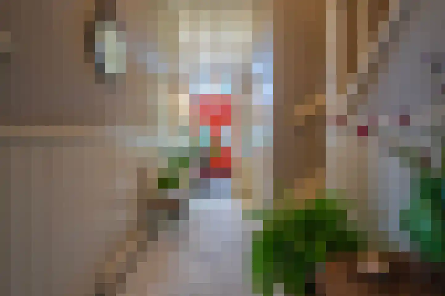 Veerweg 2 Oosterbeek thumbnail 9