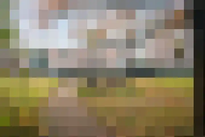 Veerweg 25 Gorssel thumbnail 11