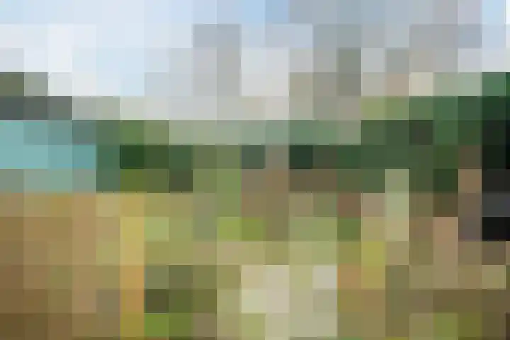 Veerweg 25 Gorssel thumbnail 16