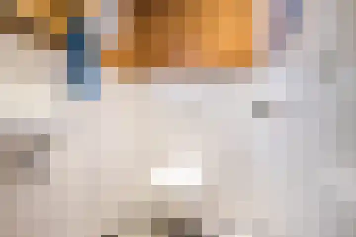 Veerweg 25 Gorssel thumbnail 20