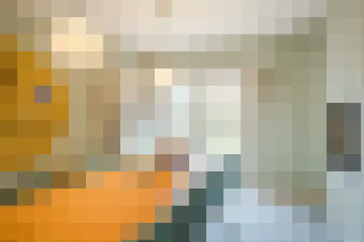Veerweg 25 Gorssel thumbnail 24