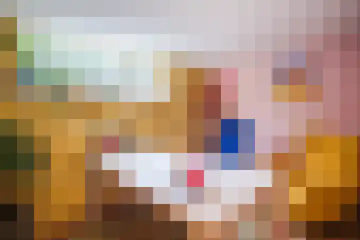 Veerweg 25 Gorssel thumbnail 50