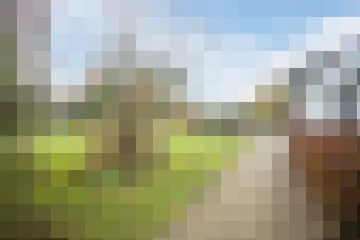 Veerweg 25 Gorssel thumbnail 75