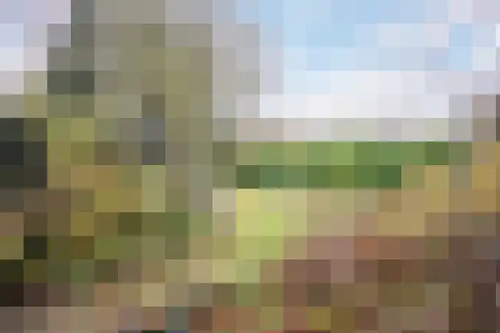Veerweg 25 Gorssel thumbnail 77