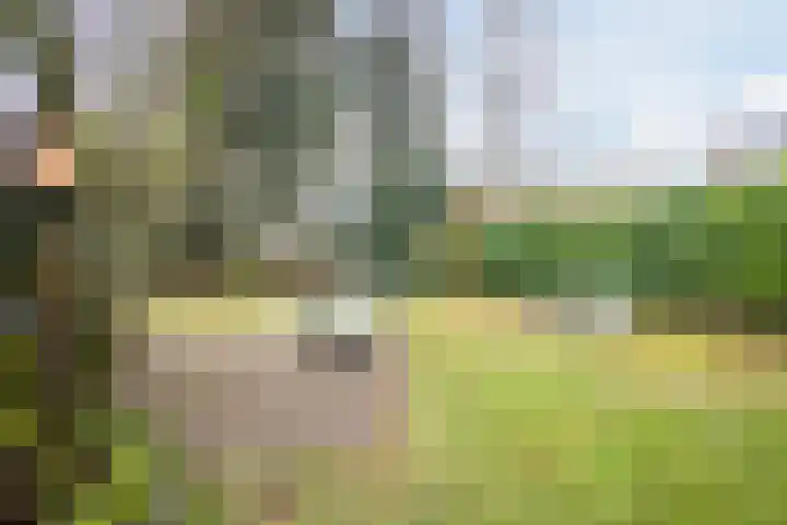 Veerweg 25 Gorssel thumbnail 78