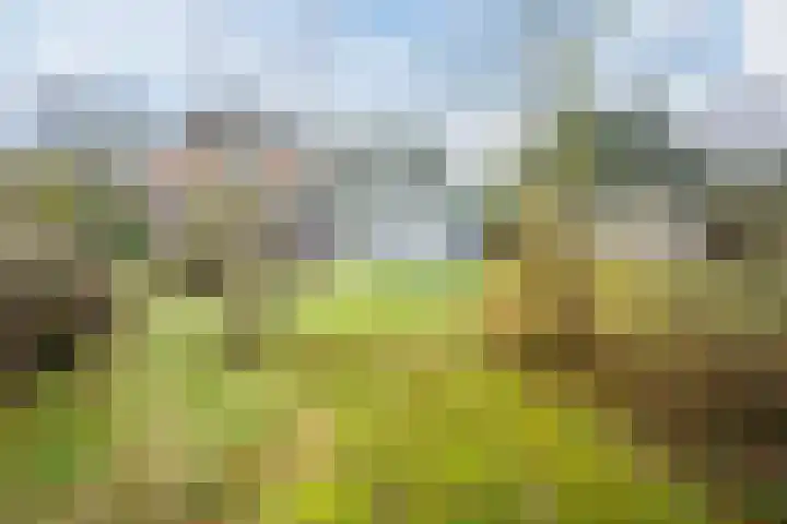 Veerweg 25 Gorssel thumbnail 8