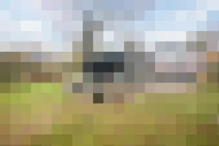 Veerweg 25 Gorssel thumbnail 80