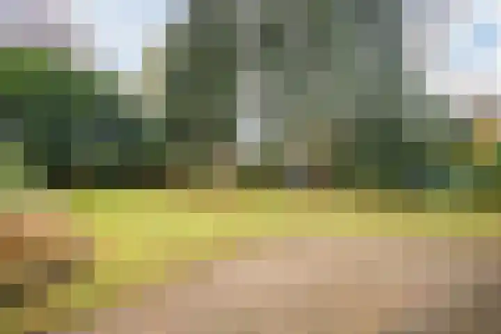 Veerweg 25 Gorssel thumbnail 82
