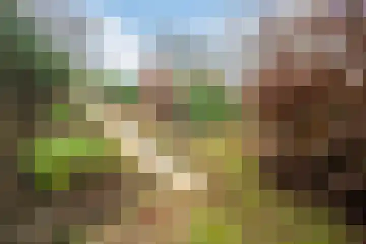 Veerweg 25 Gorssel thumbnail 83