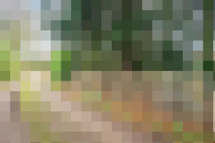 Veerweg 25 Gorssel thumbnail 84