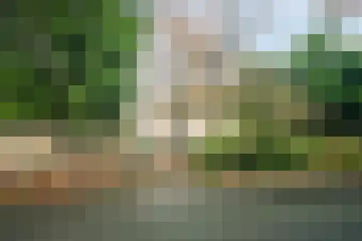 Veerweg 25 Gorssel thumbnail 85