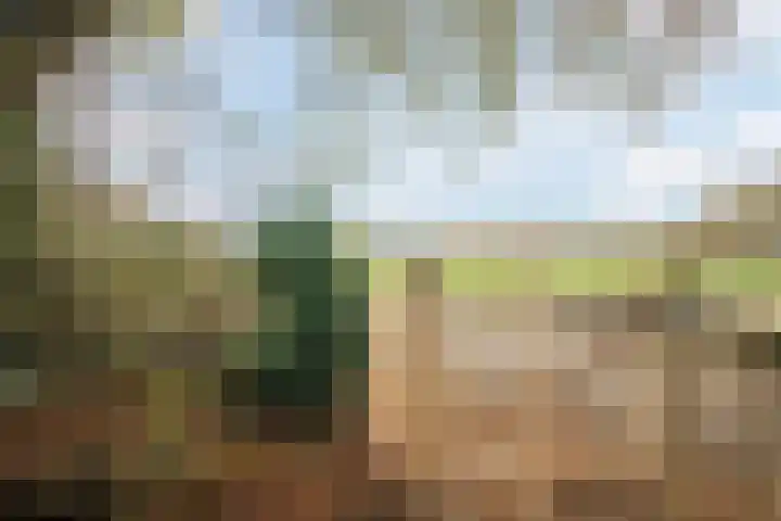 Veerweg 25 Gorssel thumbnail 86