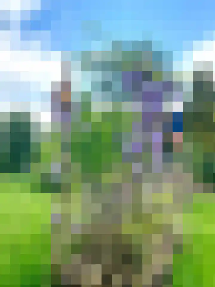 Veerweg 25 Gorssel thumbnail 89