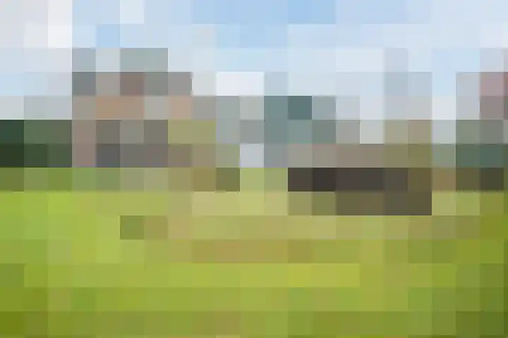 Veerweg 25 Gorssel thumbnail 9