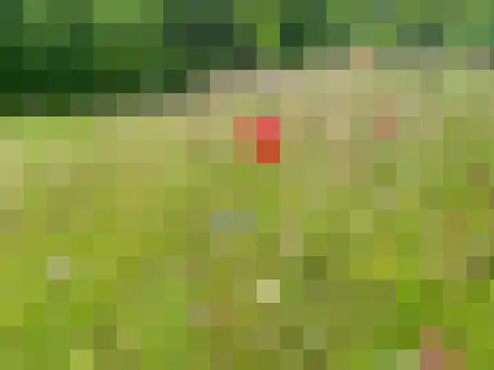 Veerweg 25 Gorssel thumbnail 90