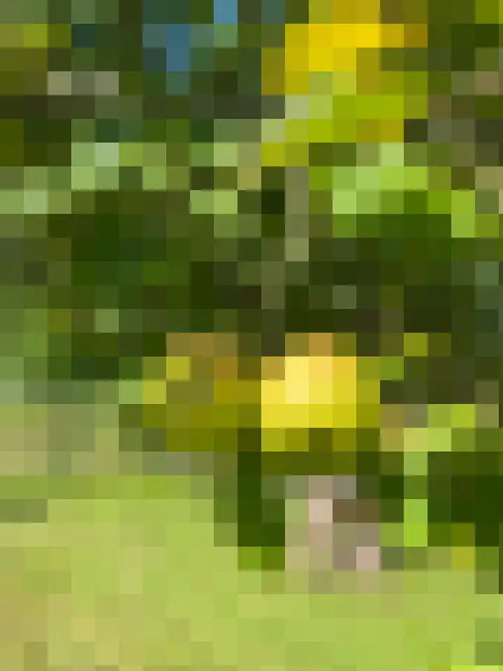 Veerweg 25 Gorssel thumbnail 97