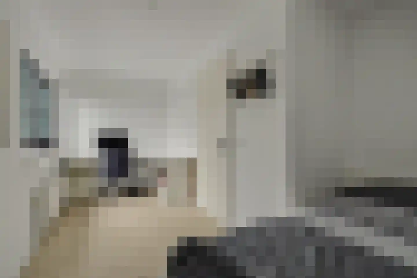 Veerweg 3 a Kamperland thumbnail 12