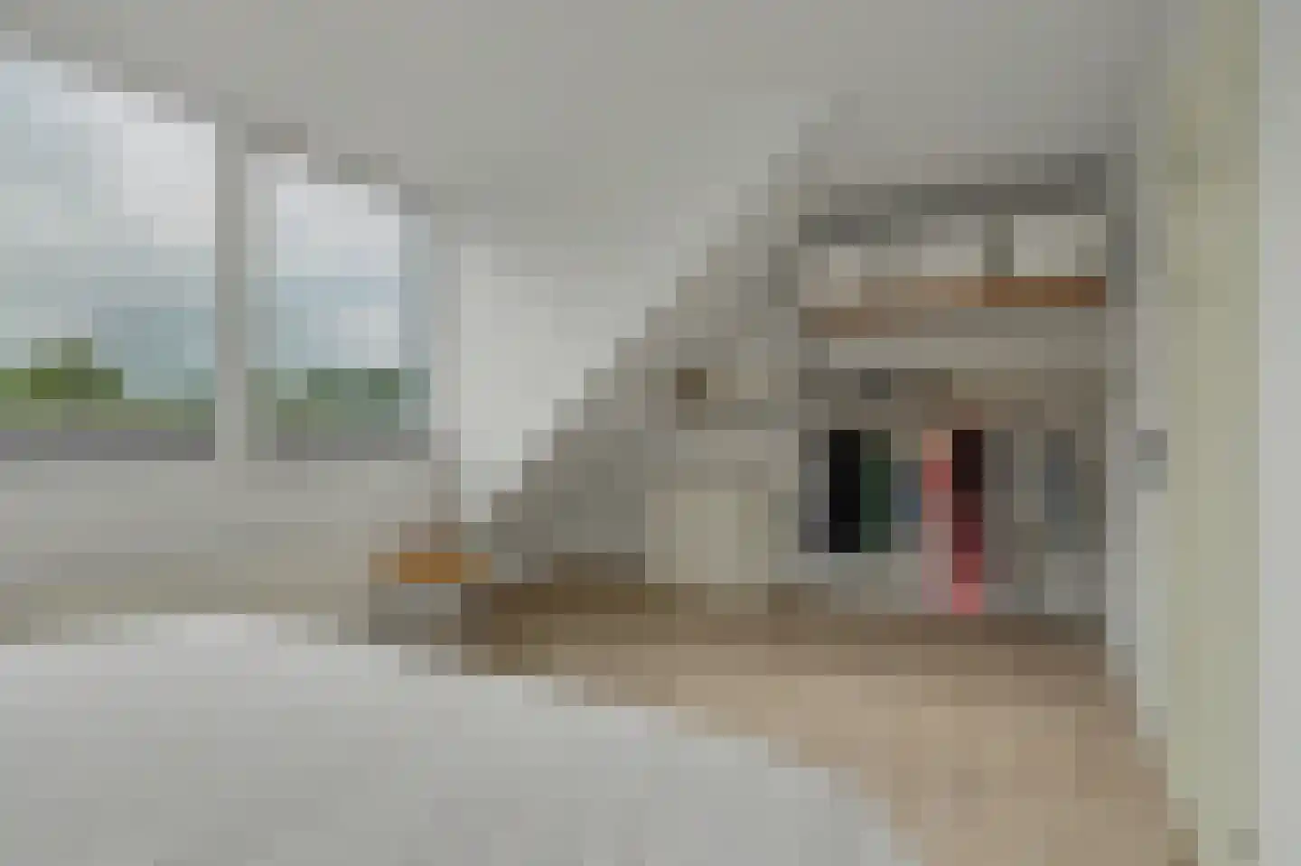 Veerweg 3 a Kamperland thumbnail 14