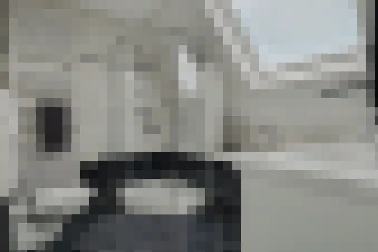 Veerweg 3 a Kamperland thumbnail 15