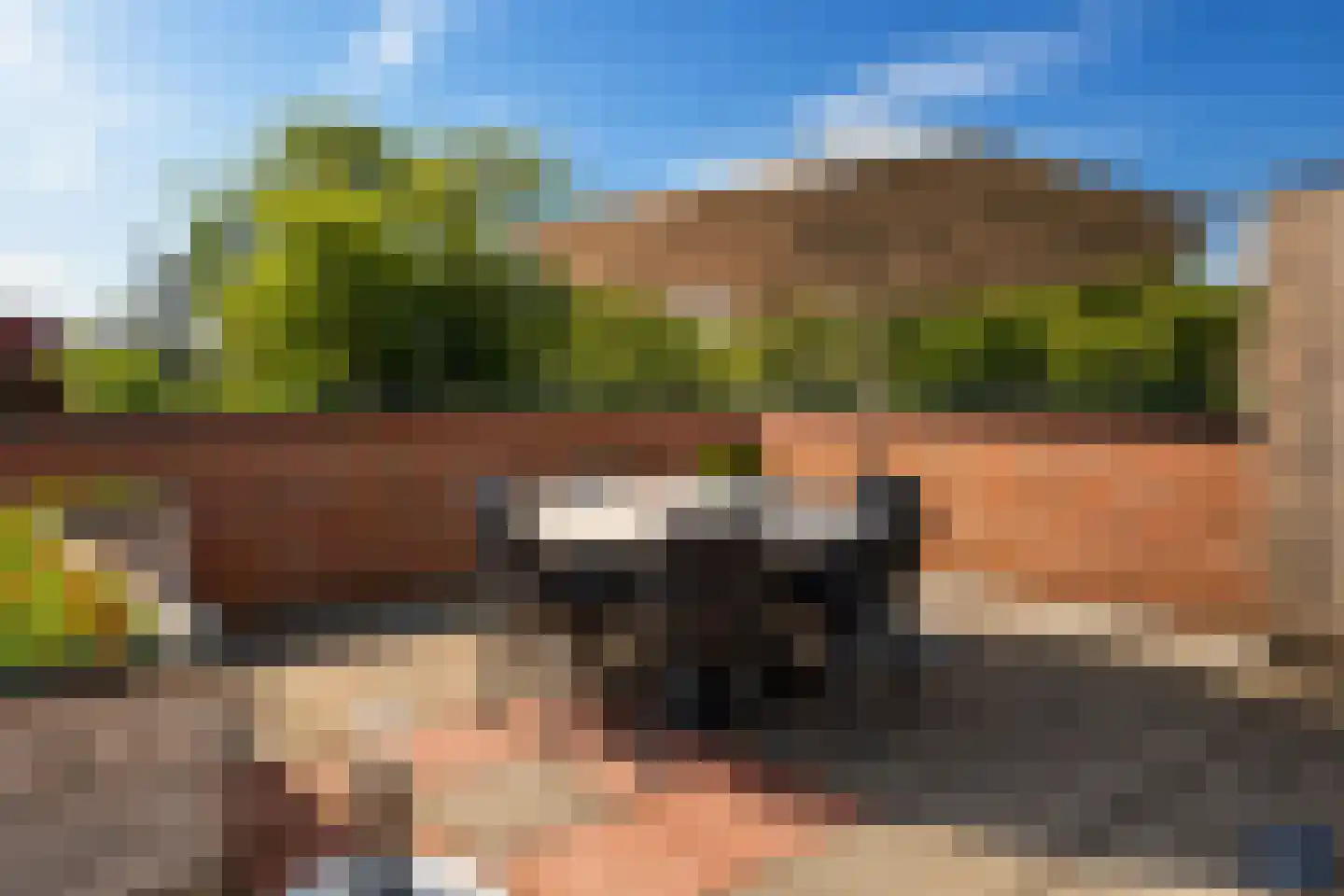 Veerweg 3 a Kamperland thumbnail 17