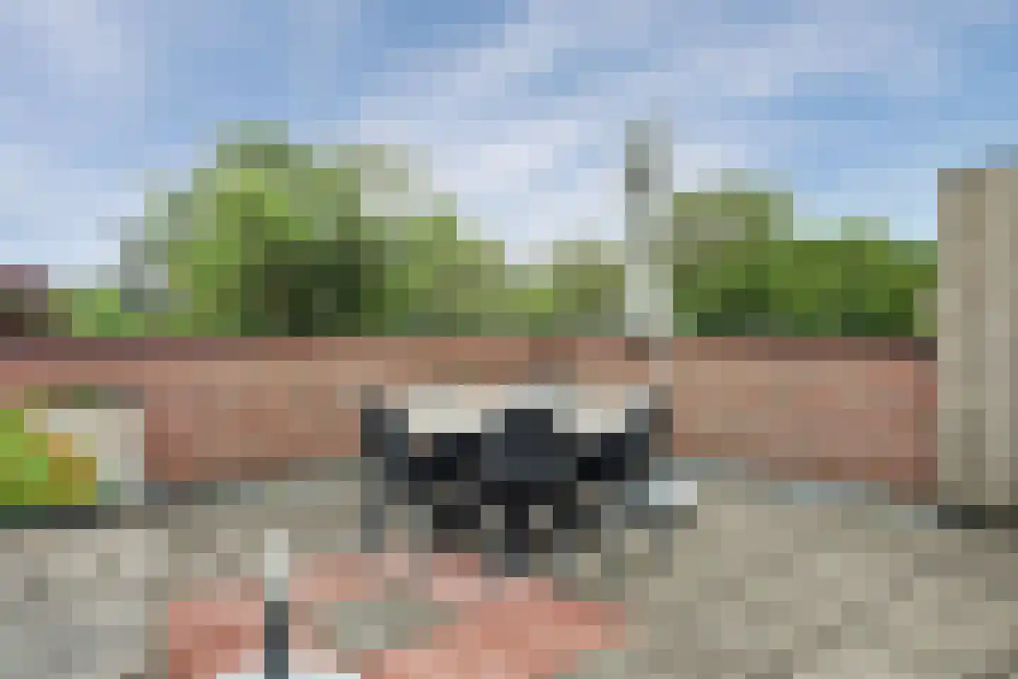 Veerweg 3 a Kamperland thumbnail 17