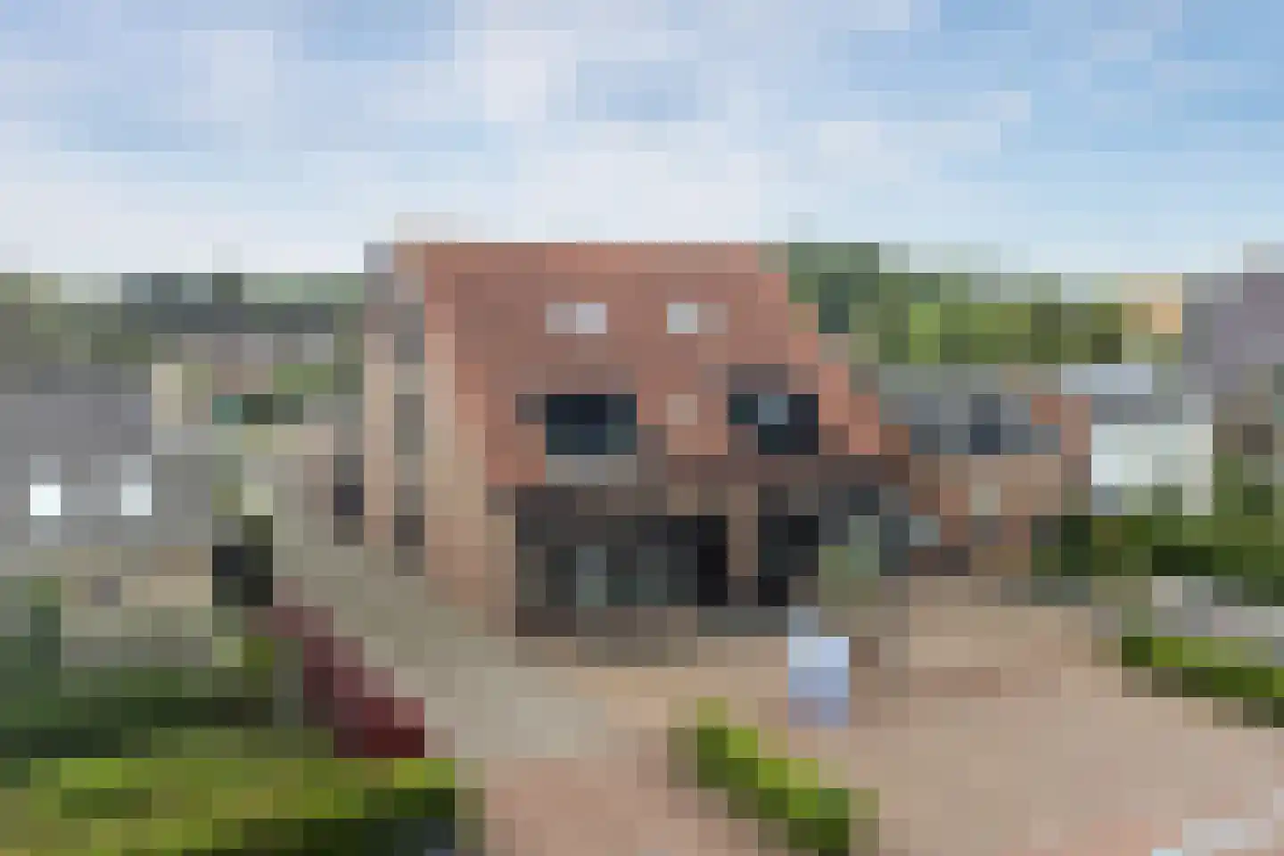 Veerweg 3 a Kamperland thumbnail 21