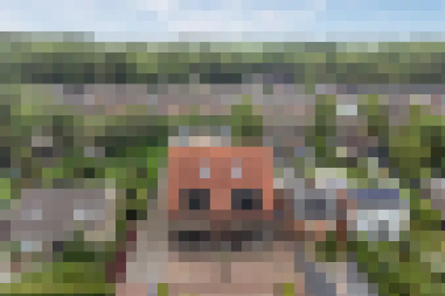 Veerweg 3 a Kamperland thumbnail 22