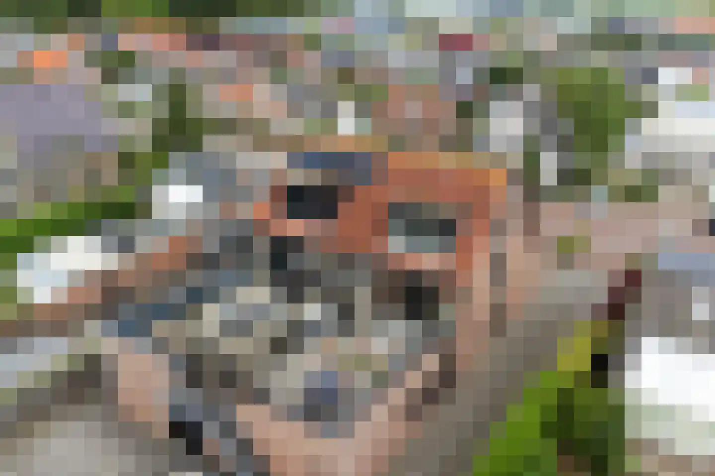 Veerweg 3 a Kamperland thumbnail 23