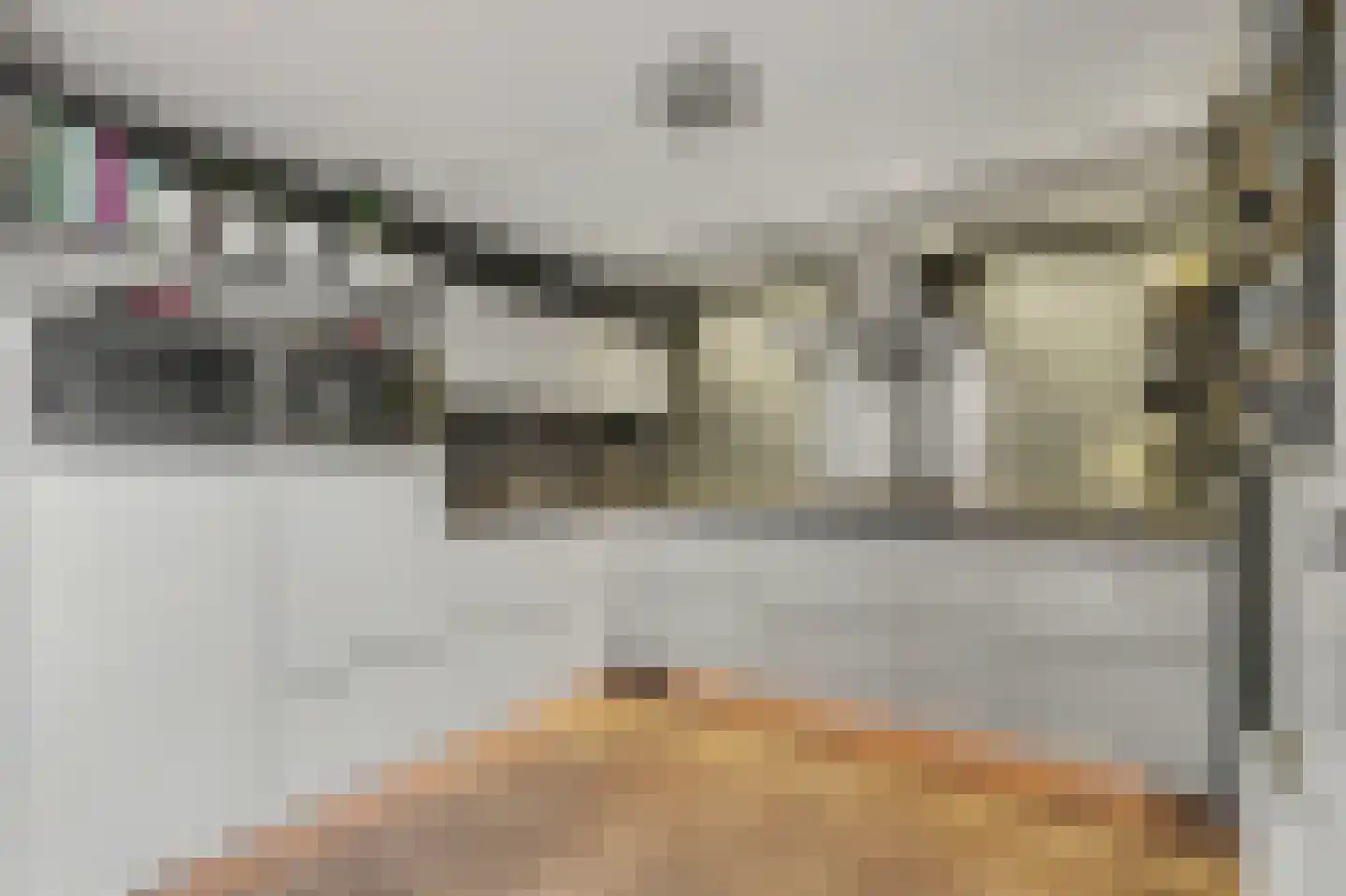 Veerweg 3 b Kamperland thumbnail 12