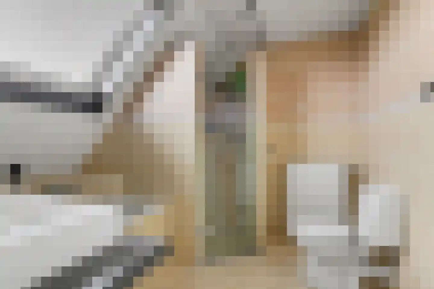 Veerweg 3 b Kamperland thumbnail 18
