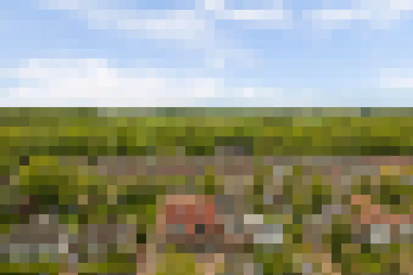 Veerweg 3 b Kamperland thumbnail 27
