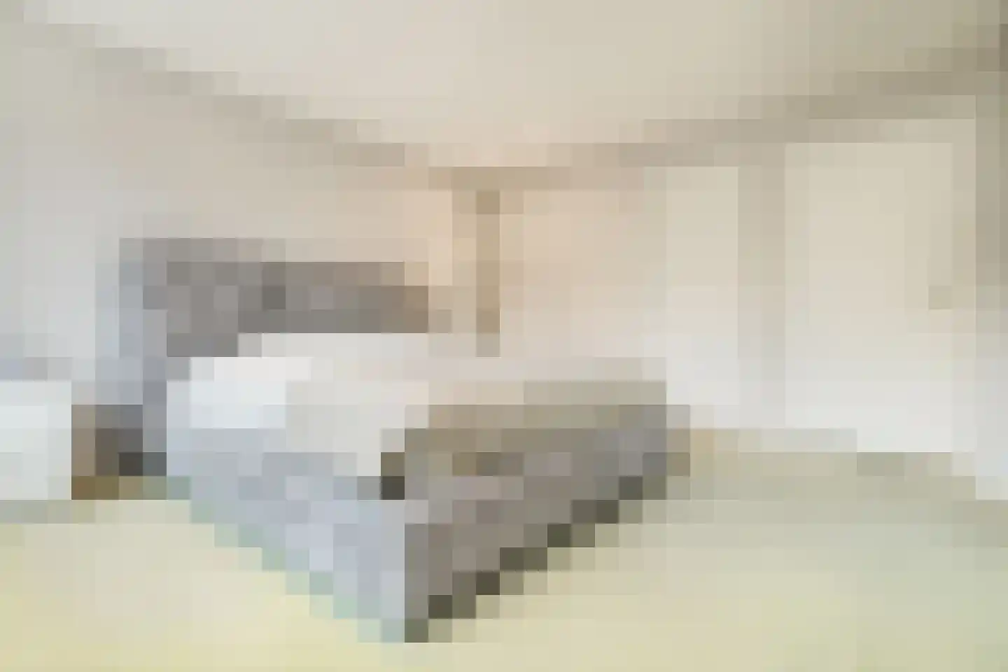 Veerweg 4 Laren thumbnail 13
