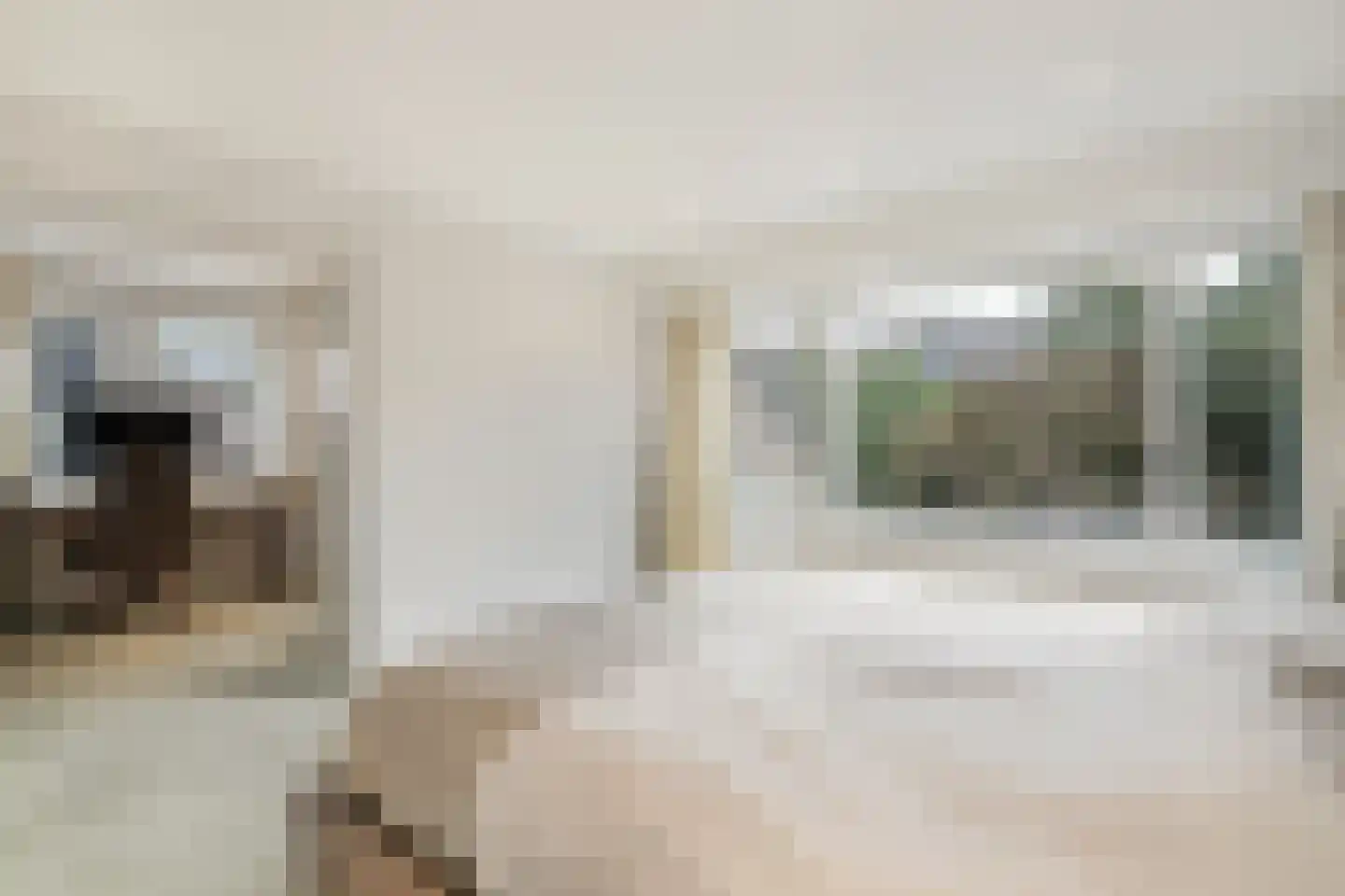Veerweg 4 Laren thumbnail 14