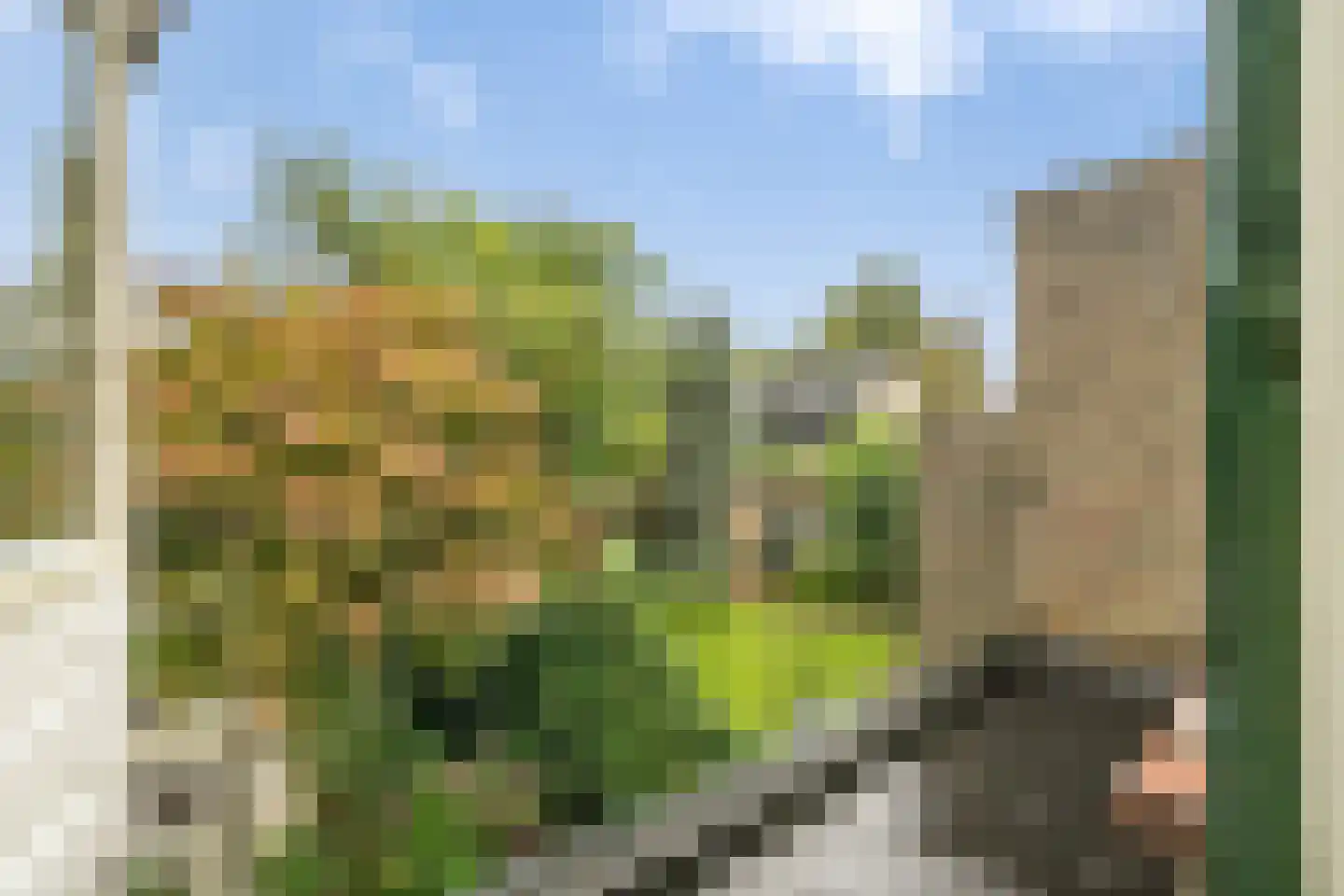 Veerweg 4 Laren thumbnail 15