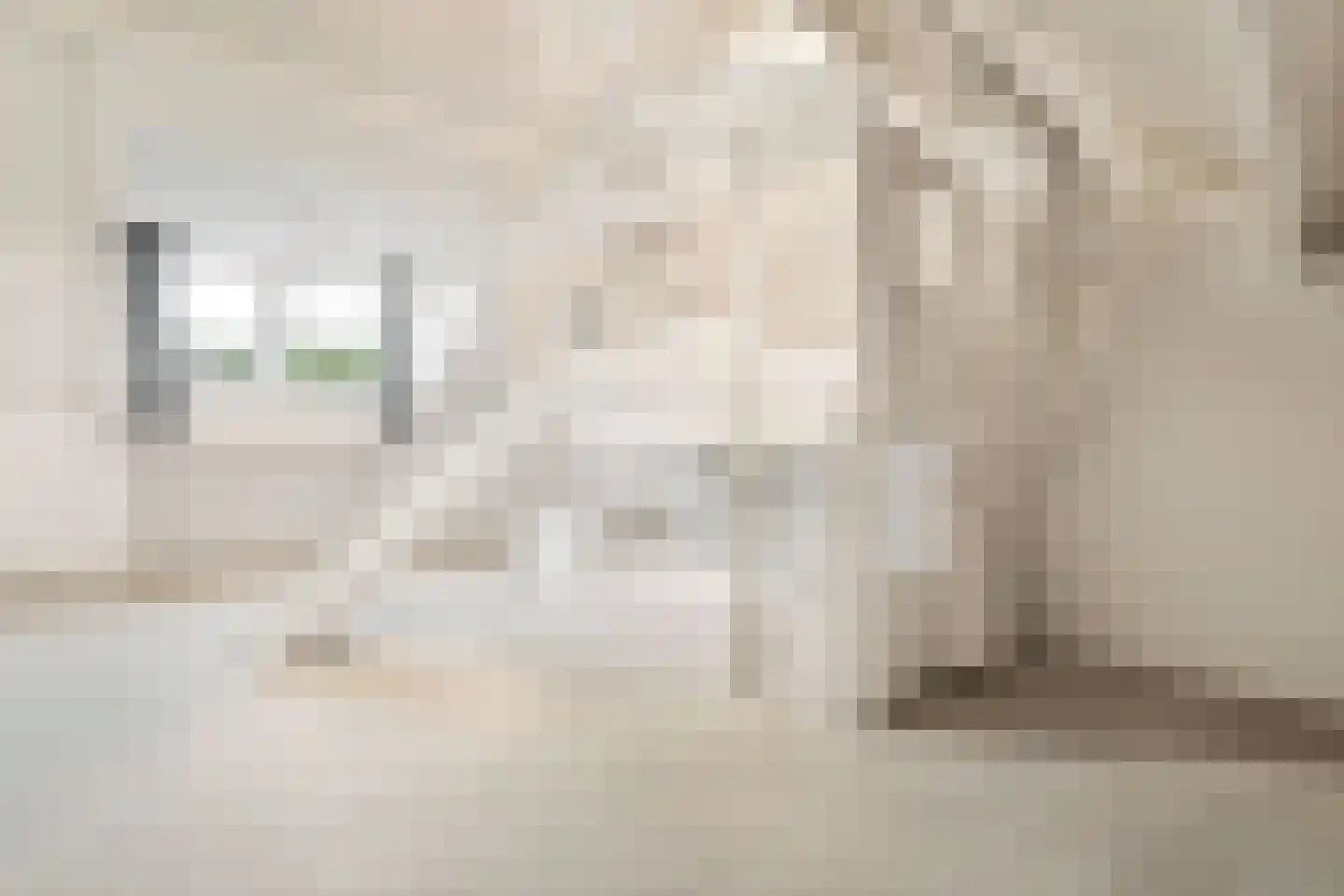 Veerweg 4 Laren thumbnail 24