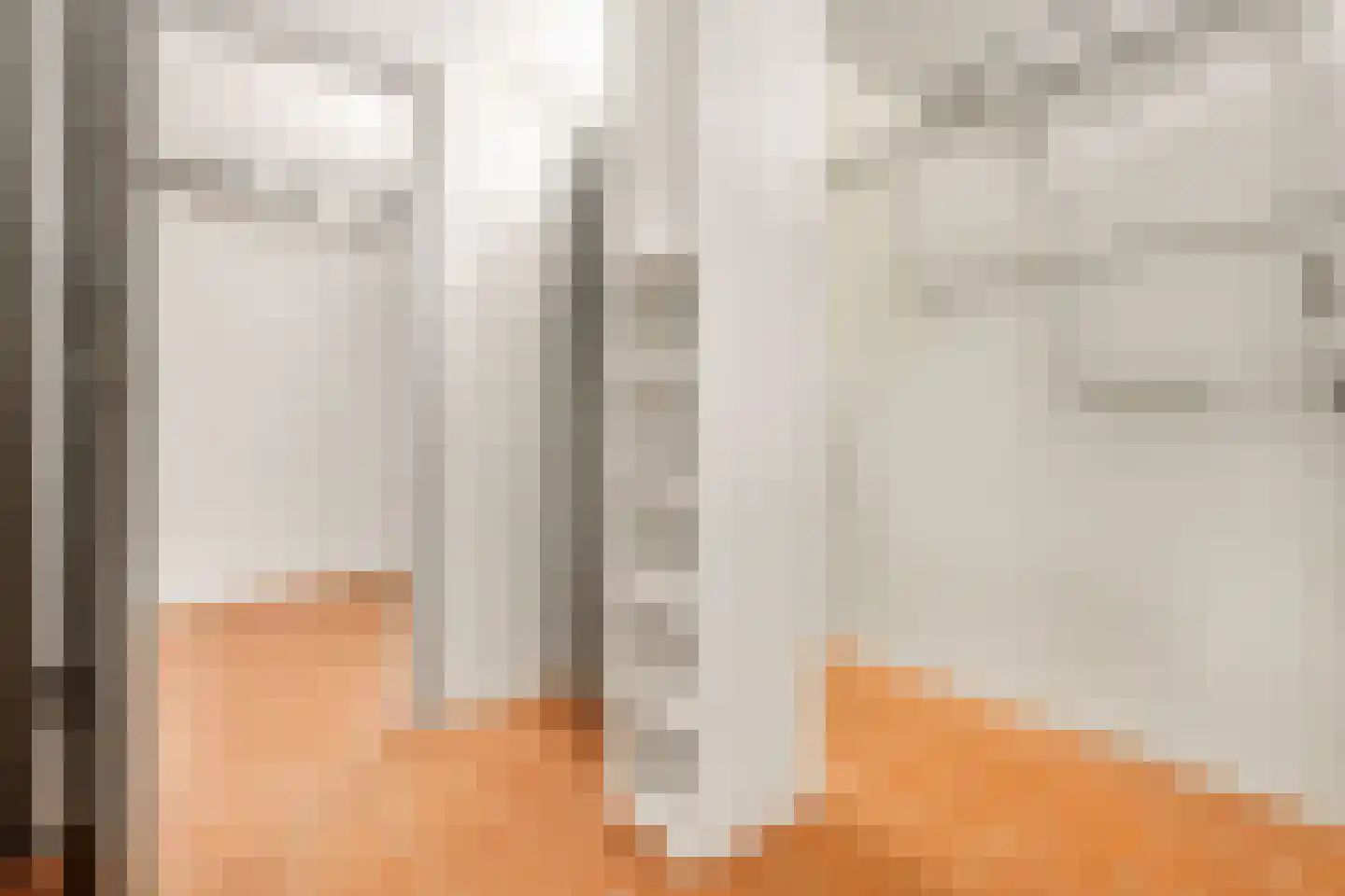 Veerweg 4 Laren thumbnail 26