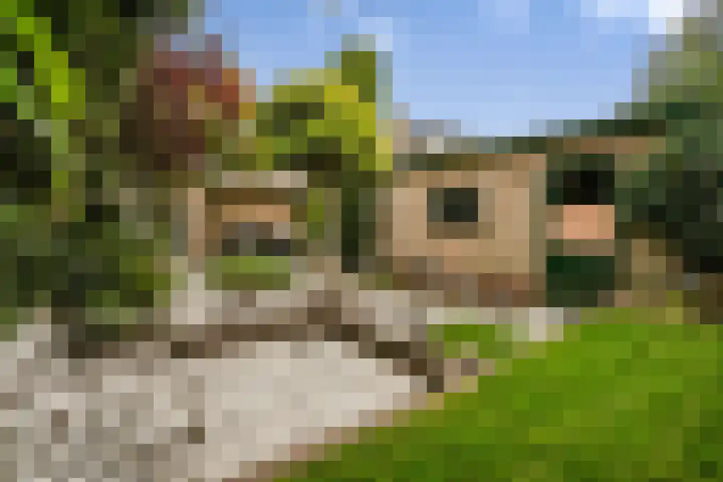 Veerweg 4 Laren thumbnail 27