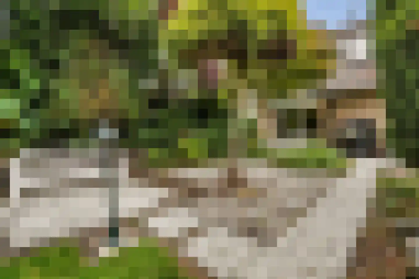 Veerweg 4 Laren thumbnail 29