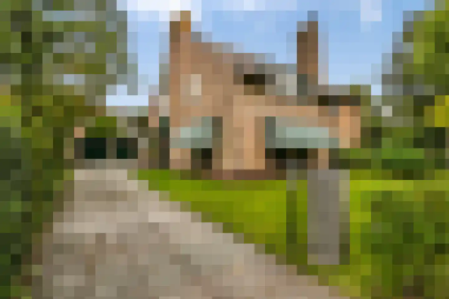 Veerweg 4 Laren thumbnail 31