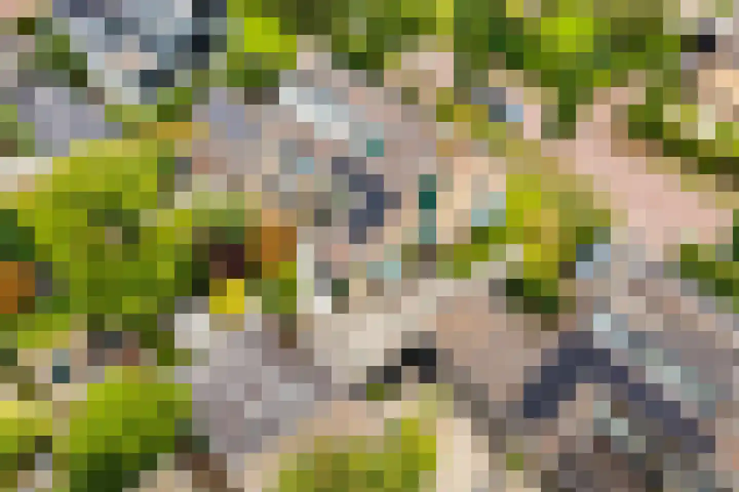 Veerweg 4 Laren thumbnail 33