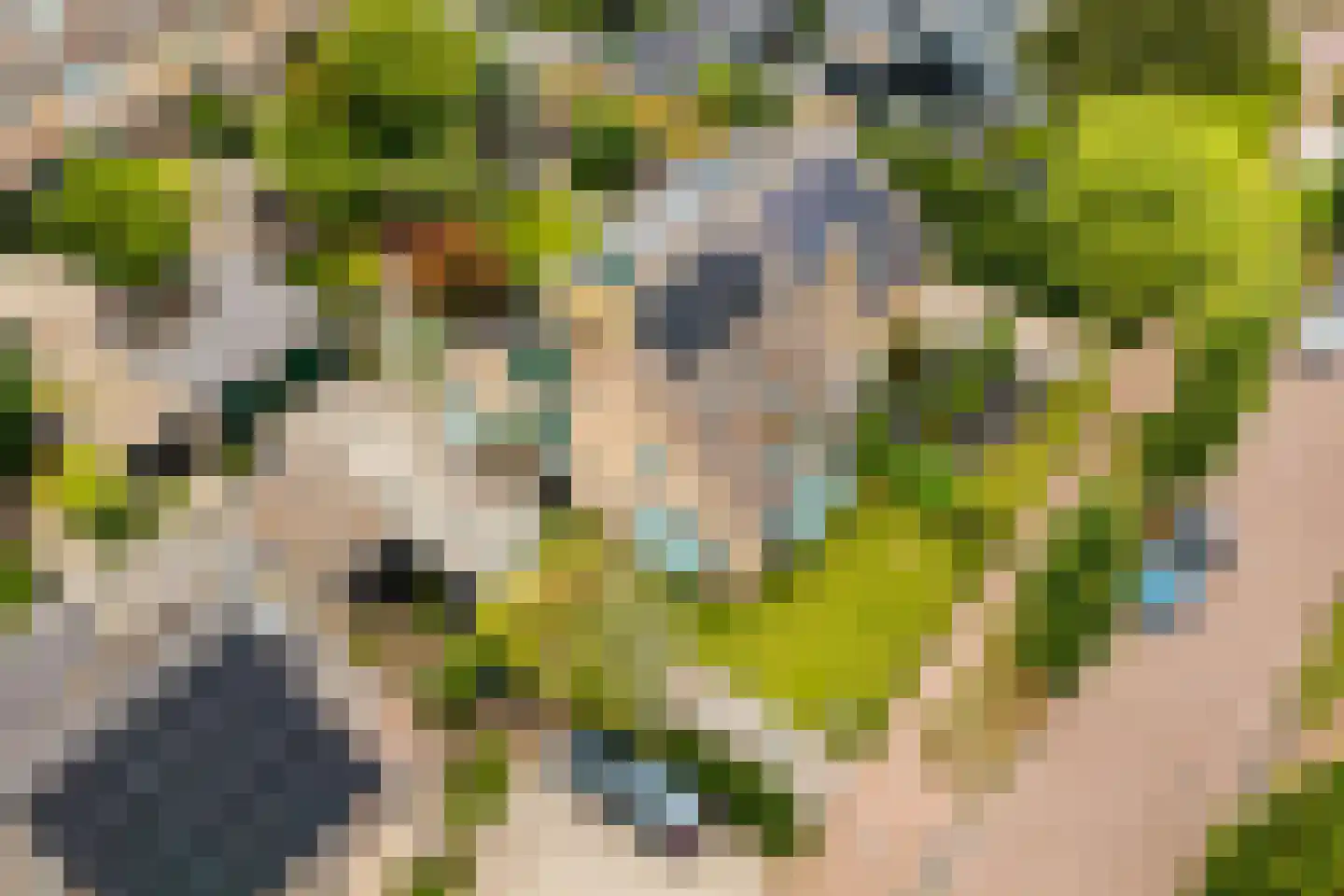 Veerweg 4 Laren thumbnail 34