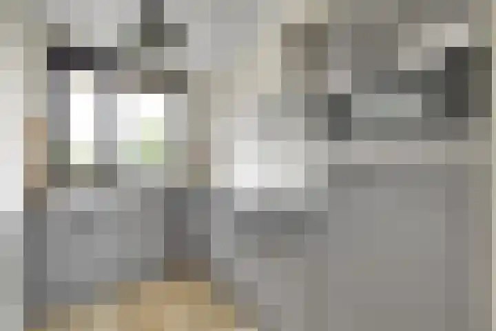 Veerweg 40 Brielle thumbnail 14