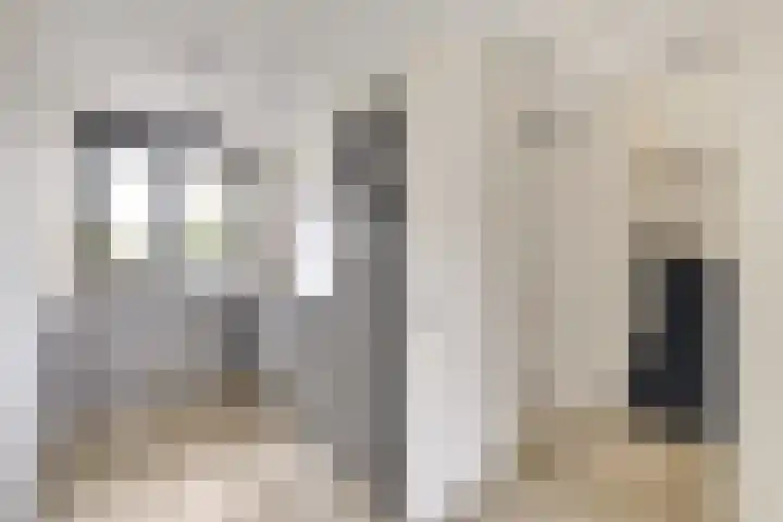 Veerweg 40 Brielle thumbnail 16