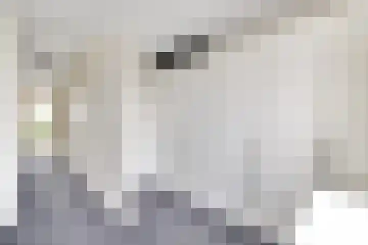 Veerweg 40 Brielle thumbnail 22