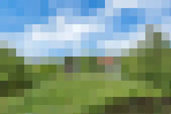 Veerweg 40 Brielle thumbnail 44