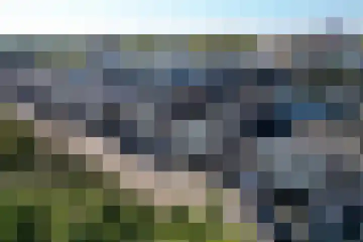 Veerweg 40 Brielle thumbnail 46