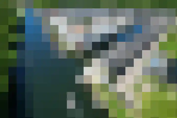 Veerweg 40 Brielle thumbnail 50