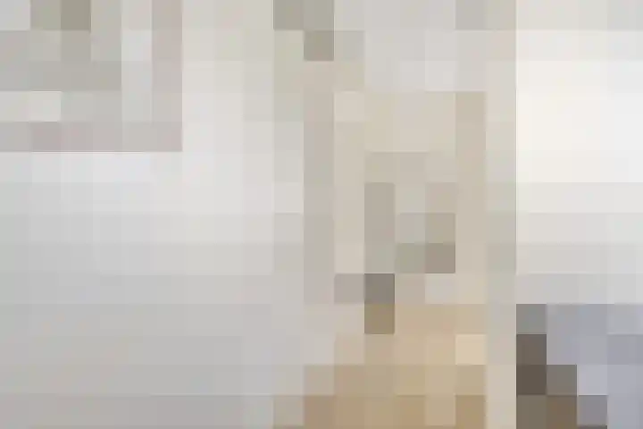Veerweg 40 Brielle thumbnail 7